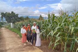 Lúc nào cũng tự hào là người Hà Nội 