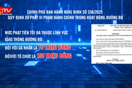 Xe ô tô trên 8 chỗ không dùng để kinh doanh taxi 