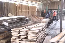 Phạt đến 20 triệu đồng nếu không cho lao động nữ nuôi con nhỏ nghỉ 60 phút mỗi ngày