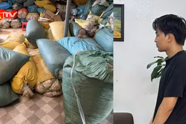 Công an tỉnh Cao Bằng khởi tố đối tượng sản xuất, buôn bán trà giả quy mô lớn