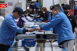 Không cung cấp thông tin tiền lương có thể bị phạt đến 16 triệu đồng