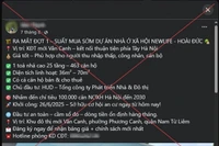 Xử phạt các trường hợp rao bán 'suất ngoại giao', 'suất nội bộ' nhà ở xã hội trên địa bàn Hà Nội