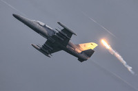 [ẢNH] Chiến đấu cơ phát triển từ máy bay huấn luyện L-39 đáng sợ cỡ nào?