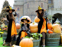 Halloween Sun World Ba Na Hills đẹp rực rỡ với hơn 10 tấn bí, ngô, táo trang trí