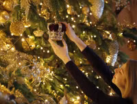 [ẢNH] Choáng ngợp trước những cây thông Noel đắt giá nhất thế giới