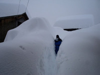 Dãy Alps tuyết lở - Ít nhất 12 người thiệt mạng vì tuyết lớn và gió mạnh ở Châu Âu