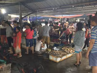 Chợ cá Nghi Thuỷ hút khách mùa du lịch biển