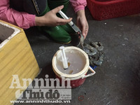 Cận cảnh quá trình bơm tạp chất vào tôm ở Hà Nội