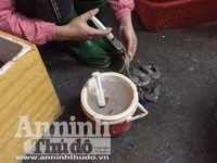 Cận cảnh quá trình bơm tạp chất vào tôm ở Hà Nội