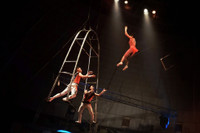 Mãn nhãn nghệ thuật xiếc