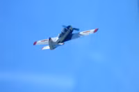 [ẢNH] NÓNG: Máy bay quân sự rơi tại Khánh Hòa, cả 2 phi công tử nạn