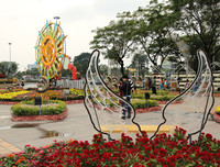 Nô nức rủ nhau dạo đường hoa bên sông Hàn đón Tết