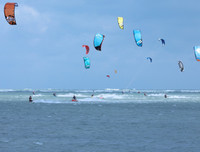 Khoáng đạt Festival lướt ván thả diều trên biển