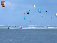 Khoáng đạt Festival lướt ván thả diều trên biển