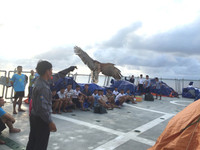 Luyện chim đại bàng giữa Trường Sa