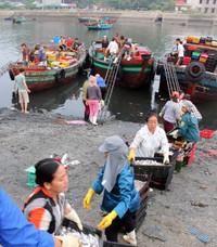 Chợ cá Nghi Thuỷ hút khách mùa du lịch biển