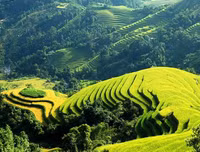 Việt Nam có khu sinh thái được bầu chọn TOP 10 đẹp nhất thế giới
