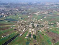 Israel, bậc thầy về lĩnh vực nông nghiệp từ trên mảnh đất khô cằn khiến thế giới bái phục