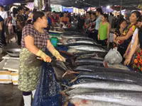 Chợ cá Nghi Thuỷ hút khách mùa du lịch biển