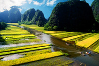 Khám phá mùa vàng tam cốc