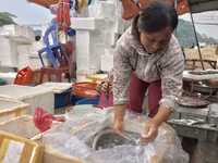 Chợ cá Nghi Thuỷ hút khách mùa du lịch biển