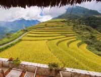Việt Nam có khu sinh thái được bầu chọn TOP 10 đẹp nhất thế giới