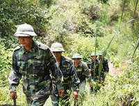 [ẢNH] Giữ vững màu xanh nơi biên cương phía Bắc