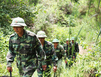 [ẢNH] Giữ vững màu xanh nơi biên cương phía Bắc