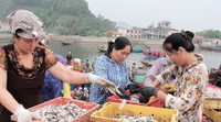 Chợ cá Nghi Thuỷ hút khách mùa du lịch biển
