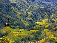 Quyến rũ như thung lũng Mường Hoa mùa lúa chín