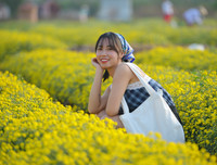 Giới trẻ Hà thành rạng rỡ ‘check in’ tại cánh đồng hoa cúc chi