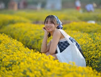 Giới trẻ Hà thành rạng rỡ ‘check in’ tại cánh đồng hoa cúc chi