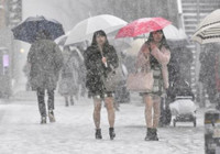 Nhật Bản: Tuyết rơi dày đặc ở Tokyo, 16 người bị thương