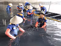 Công nhân dầm mình dưới bùn làm sạch sông Tô Lịch