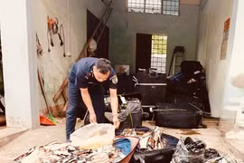 Ngăn chặn hơn 1,8 tấn thực phẩm đông lạnh “bẩn” từ Trung Quốc nhập lậu Việt Nam