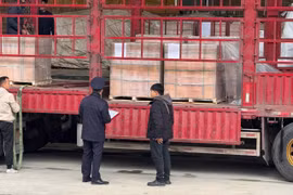 Hải quan phát hiện, xử lý 15 vụ việc vi phạm trong dịp Tết Nguyên đán