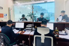 Hải quan thông tin về hiện tượng Hệ thống công nghệ thông tin bị lỗi