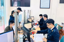Hải quan có quyền dừng thông quan nếu nghi ngờ hàng giả