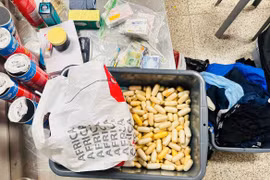 Hải quan triệt phá, thu giữ 165kg ma túy trong đợt cao điểm Tết Bính Ngọ