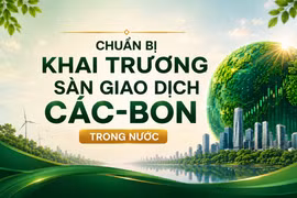 Sắp khai trương sàn giao dịch các-bon trong nước