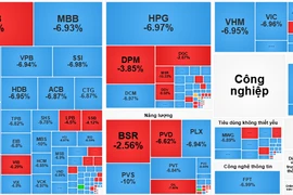 Gần 350 mã nằm sàn, chứng khoán giảm sâu kỷ lục
