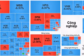 Gần 350 mã nằm sàn, chứng khoán giảm sâu kỷ lục