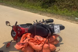 Thu giữ hơn 59,2kg nghi là vảy tê tê tại Cao Bằng