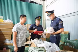 Kiểm tra lô hàng quá cảnh, phát hiện hơn 800.000 sản phẩm xâm phạm sở hữu trí tuệ