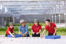 Agribank tiên phong triển khai chương trình tín dụng ưu đãi 70.000 tỷ đồng hướng đến động lực tăng trưởng kinh tế