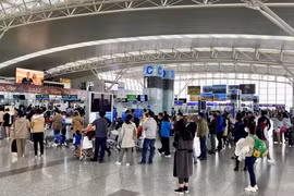 Chính phủ quy định 5 trường hợp nợ thuế bị tạm hoãn xuất cảnh