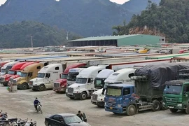 Cục Hải quan yêu cầu trực 24/24h để thông quan ngay hàng hóa thực phẩm nhập khẩu