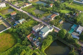 Chuyển đất nông nghiệp sang thổ cư: Đề xuất giảm 70% tiền sử dụng đất