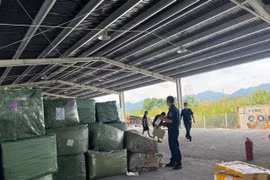 Khởi tố vụ án vận chuyển hàng chục nghìn sản phẩm giả các nhãn hiệu nổi tiếng