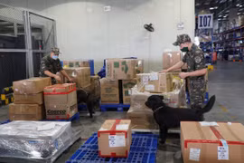 Hải quan phát hiện gần 9.000 vụ buôn lậu, gian lận thương mại